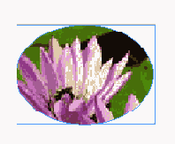 �������� ���������