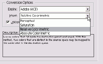 ����� �������� �����