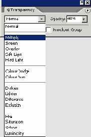 ���������� ������ ���������� Multiply (���������)