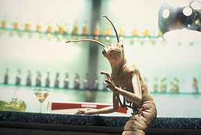 ���������� Product Placement � ������������ �� �� �����������.