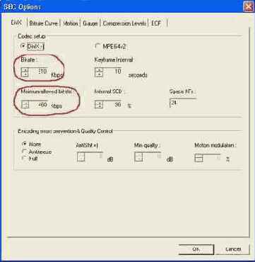 ������ �����