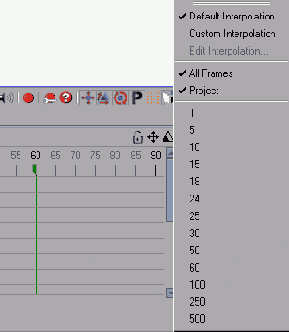 ������ Options �������� ����������