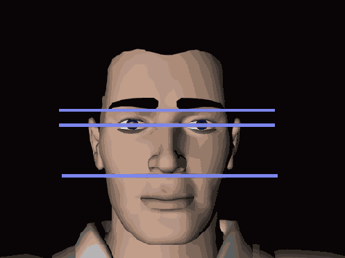 ������ ���� ����� ��������� ��