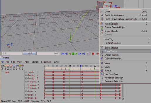 ����� �������������� ����� ������������ � ���� Timeline