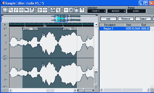 ���� Sample Editor (�������� �������)