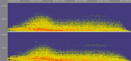 ��� ����� ���� ������������ �������� �����