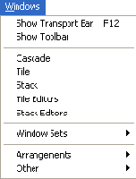  ���� Windows