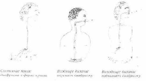 ������� �����