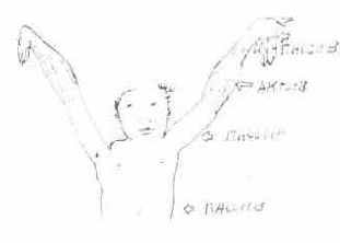 ����������� � ����� �������