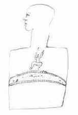 ���� �������