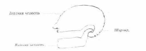 �������� �����