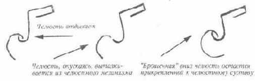 �������� �����