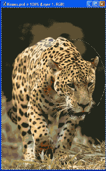 �����-�����