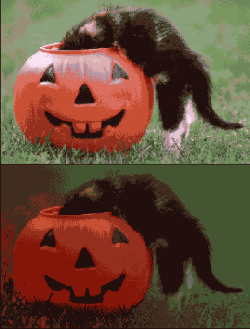 ����������� �������