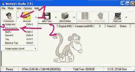 APE ��� ��������