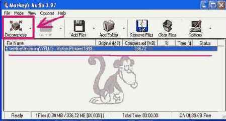 APE ��� ��������