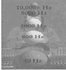 ��� ������� ���������� ����������� �����