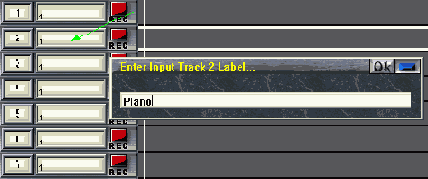 ���� MultiTrack