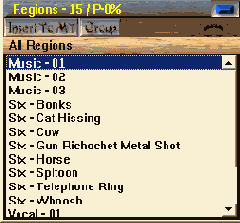 ���� Regions