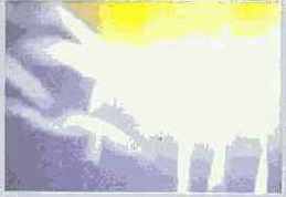 ����������� ���������������� �����������