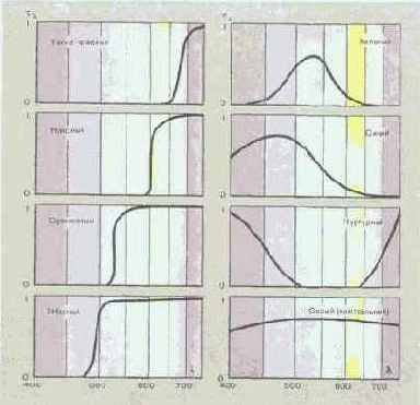 �������� �������� ����������������� ��������������