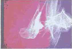 ���������� �. �. ��������