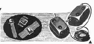 ������ ���������� � ����