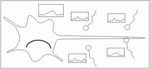 ������ ������