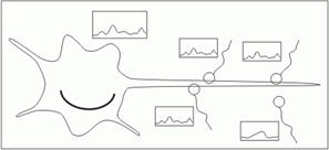 Взгляд внутрь