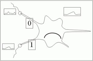 ������ ������� �����������