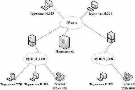 которая является также первой зонтичной