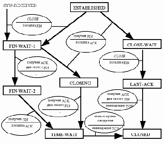 ���� �������� ����������