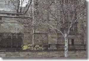 ������������ ������������ ����������� ����� ������