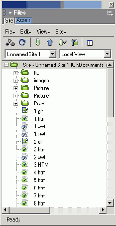 ������ Site