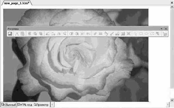 ��� ����� ������, ����� ����� 