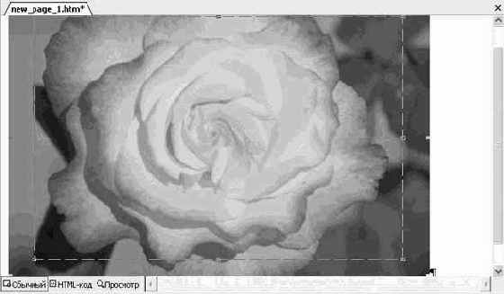 ��� ����� ������, ����� ����� 