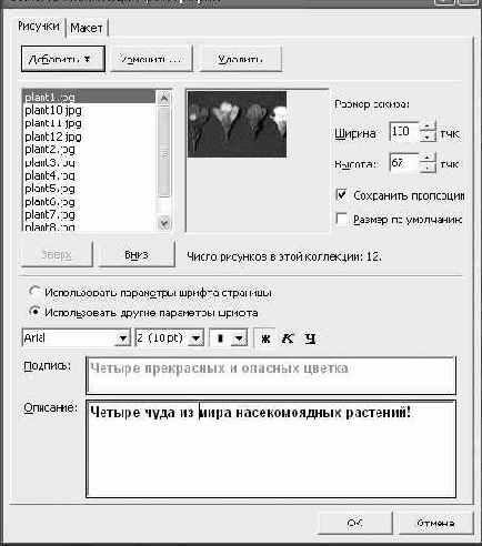 � ���-�����������