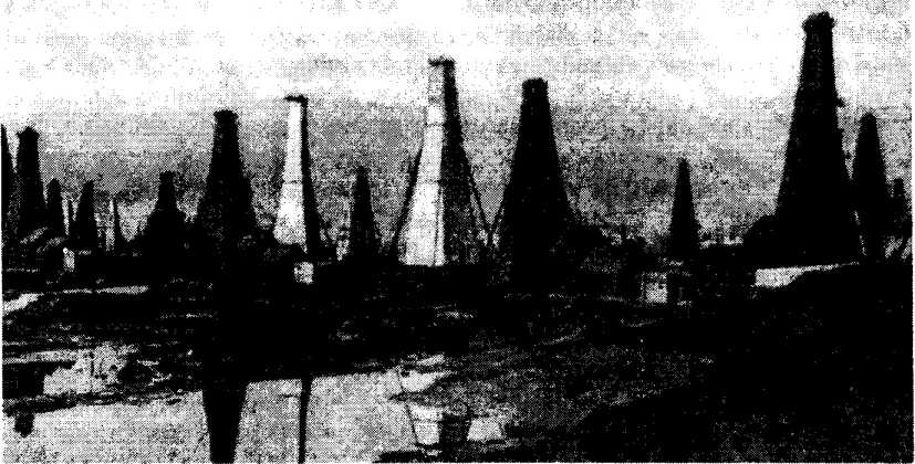 ������������� ������������ ������ ���������� ������������� ���������.