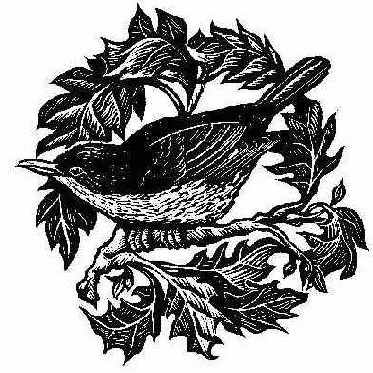 Импортирование Сканированного Файла