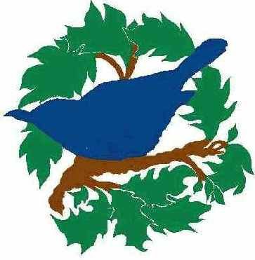 Требования К Видам