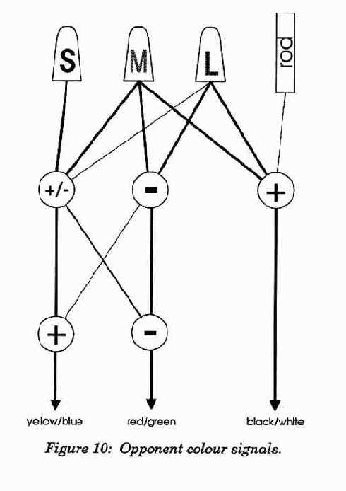 ������������� �����