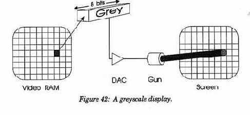 ����������� �����