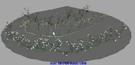 ���� ����� ������� ������ ���� 