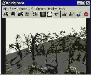 ���� ����� ������� ������ ���� 