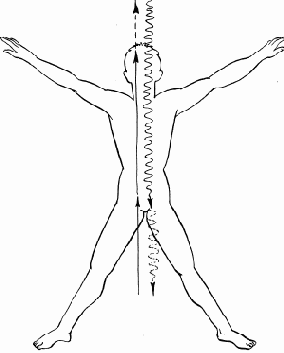 ��������: ������� �������