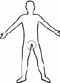 ��������: ������� �������