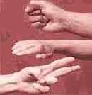 SOAP � REST, ������ ��� �������?