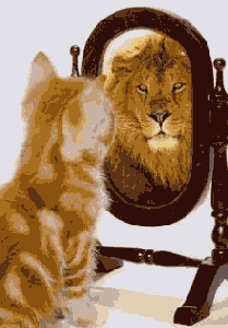 ����������� � ������� GIF