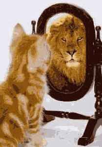 ����������� � ������� JPEG