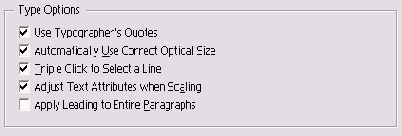 ����� Type Options ������������